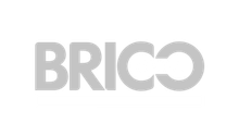 logo brico white