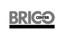 logo brico